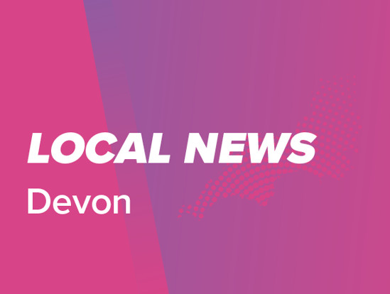 Small business bulletin for Devon